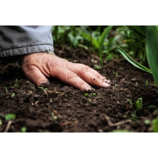 土地與地球.jpg 土地與地球.jpg