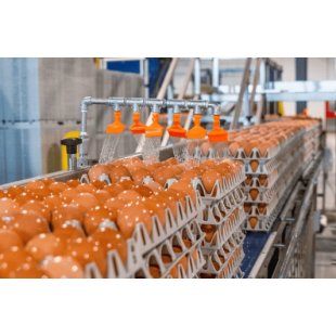 螢幕擷取畫面 2026-04-01 144118.png